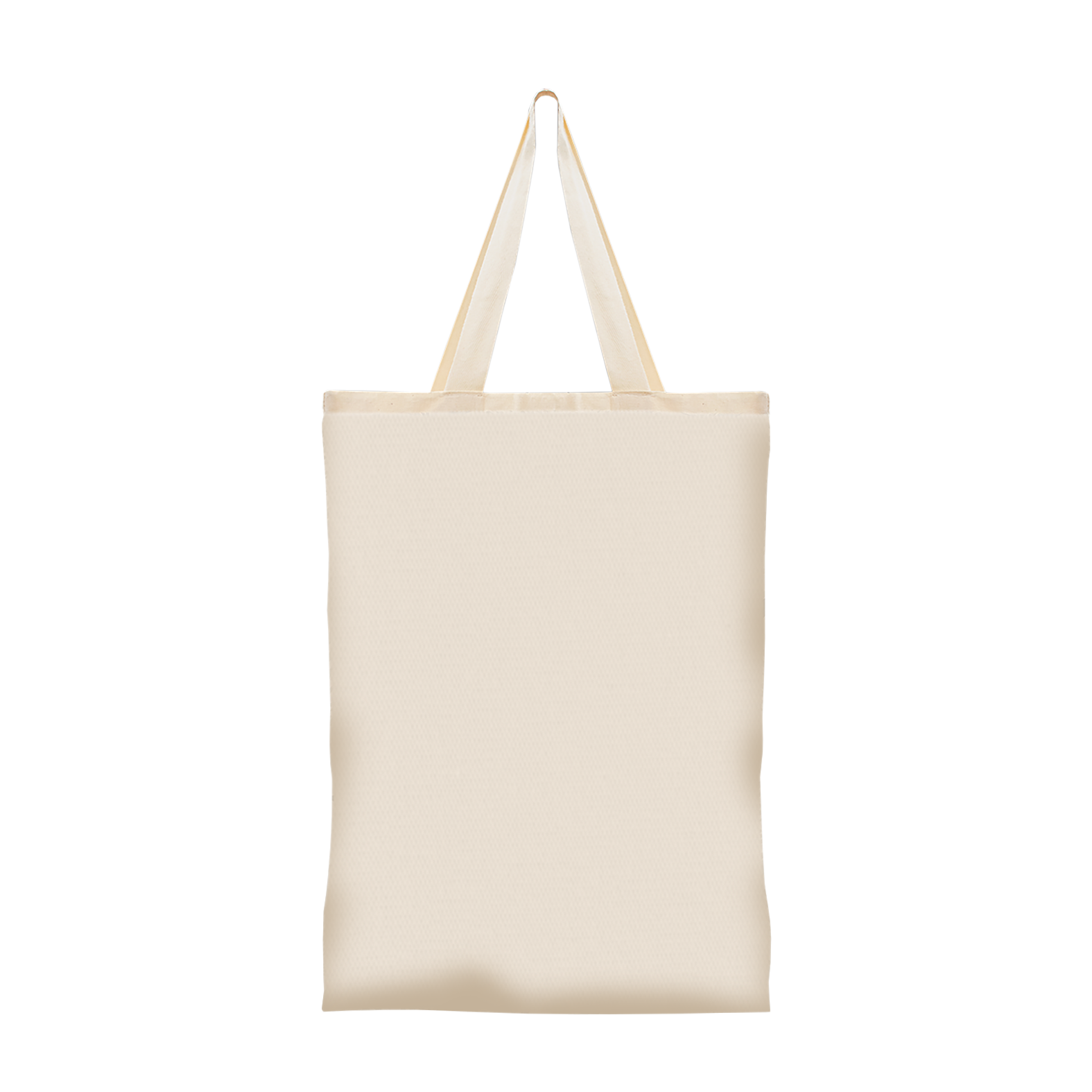 Bolsa Ecológica en lienzo